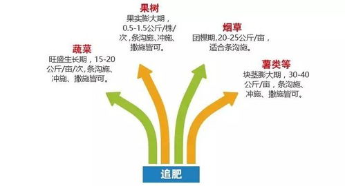 揭秘肥料4.0科技內幕 諾泰爾五星產品您需要知道這些！